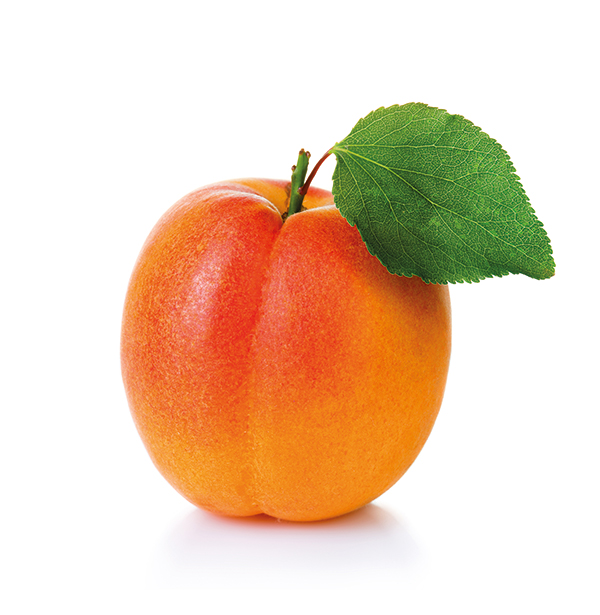 abricot, une gamme variétale de mai à septembre